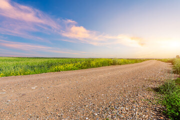 《我们最后一个人》的故事第一部和第二部将于今年晚些时候出版