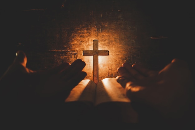 《我们最后一个人》的故事第一部和第二部将于今年晚些时候出版